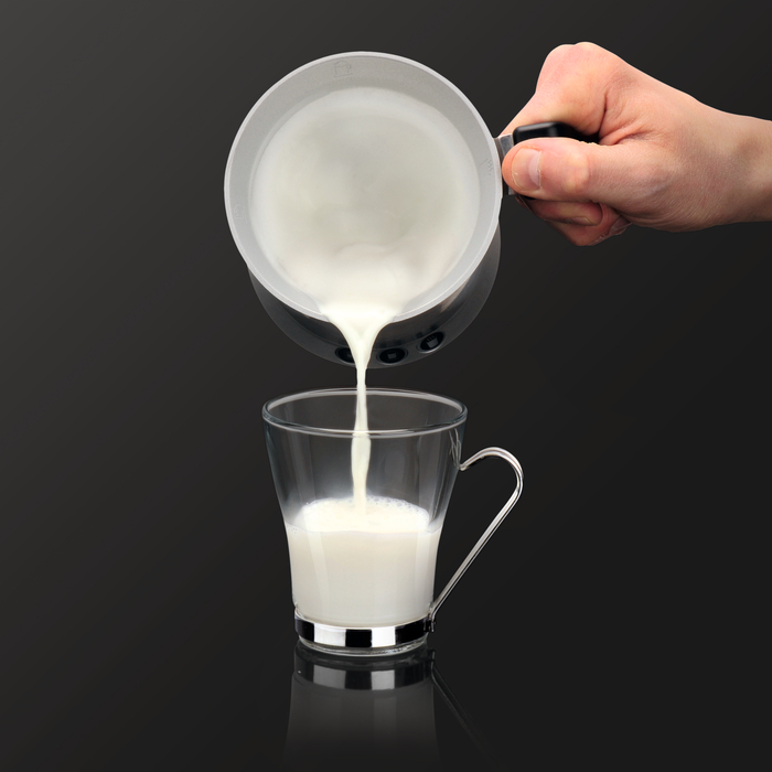 Milk Frother - XL100840