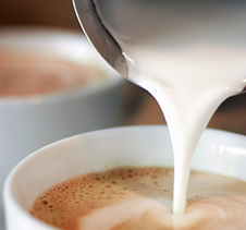 Milk frother
